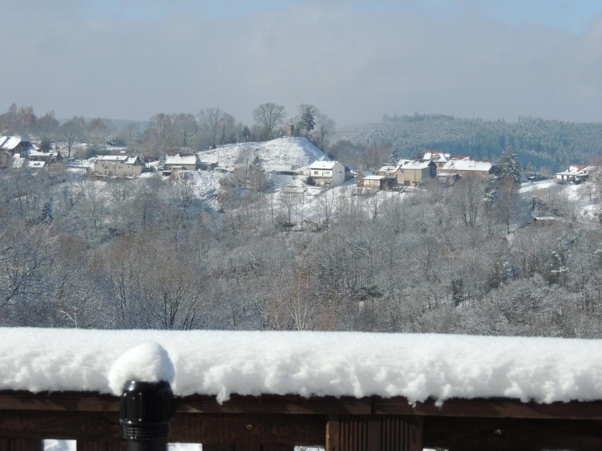 Au Chalet Bain Nordique Neuf Independant Calme Assure Haselbourg Εξωτερικό φωτογραφία