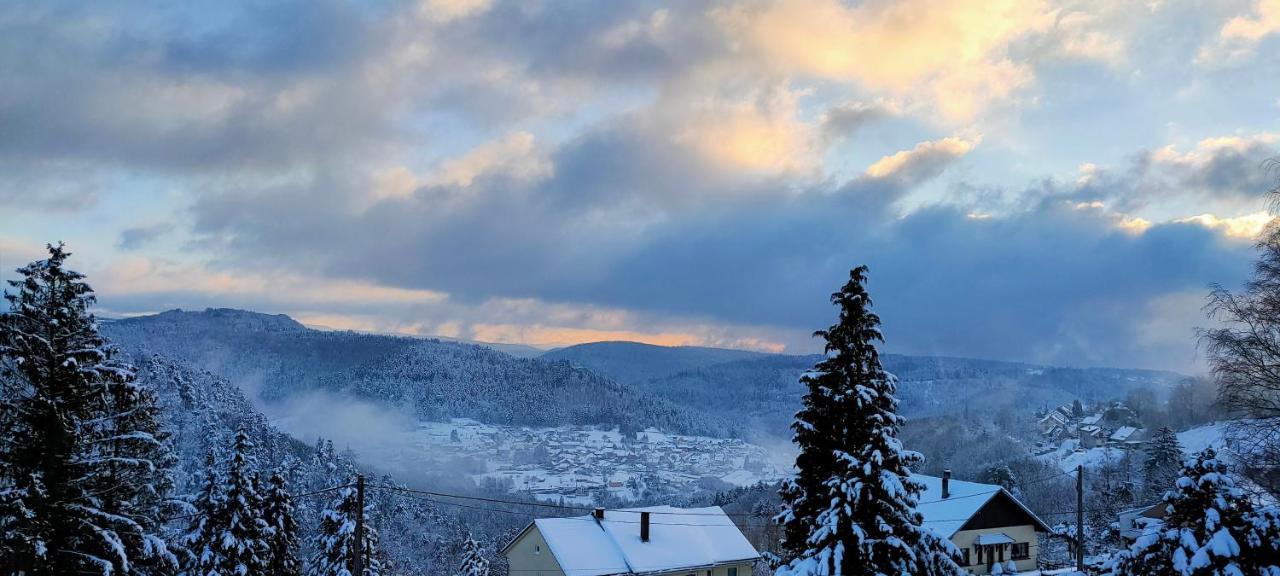 Au Chalet Bain Nordique Neuf Independant Calme Assure Haselbourg Εξωτερικό φωτογραφία
